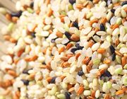 15種の雑穀のイメージ