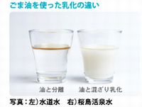 桜島 活泉水の特性の比較
