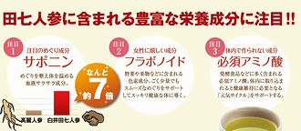 田七人参の栄養素の図