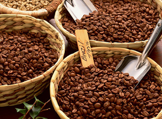 コーヒーベルトで生産されたハイグレードなコーヒー豆