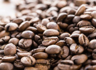 カフェサプリGABAに使用されているコーヒー豆のイメージ