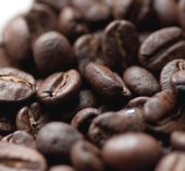 アラビカ種のコーヒー豆のイメージ