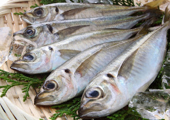 化学飼料などが極力使われず漁獲された魚
