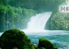 阿蘇の天然水の風景
